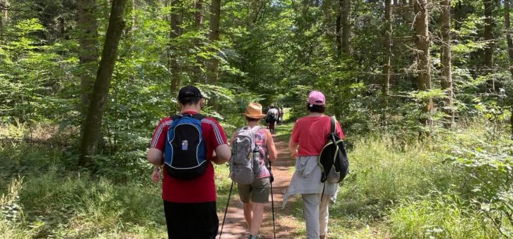 Ils ont marché à pied, en forêt, le 30 juin à Creutzwald